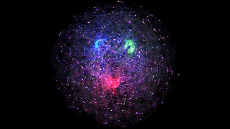 Innovative Animation Structure of the Proton